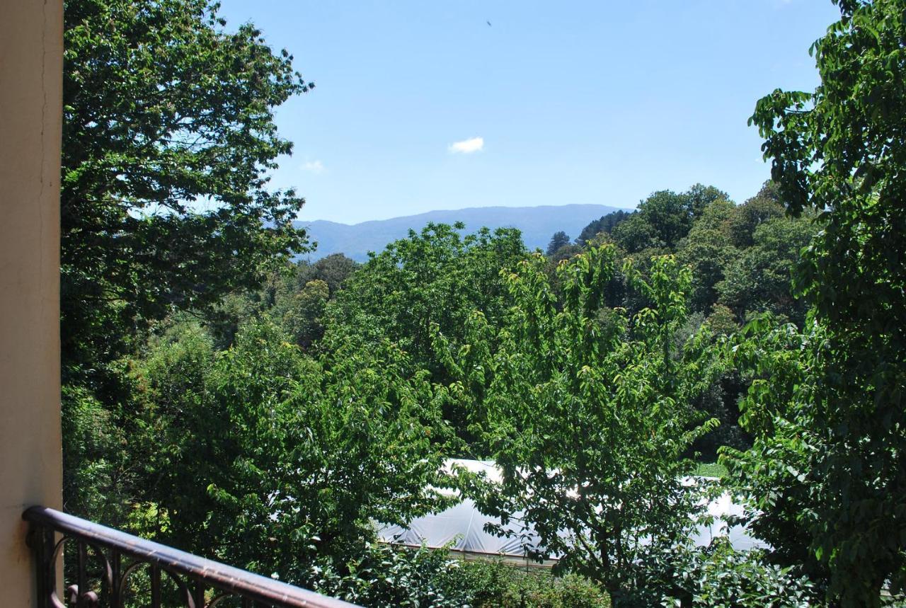 Villa Agriturismo Roseto Serra San Bruno Exterior foto